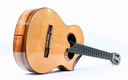 Scharpach Concert Brazilian Rosewood Spruce 2008-15.jpg