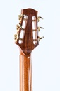 Waanders Grand Auditorium Cocobolo Adirondack 2011-5.jpg