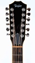 Taylor 858e 12 String 2016-4.jpg