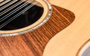 Taylor 858e 12 String 2016-12.jpg