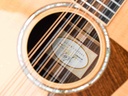 Taylor 858e 12 String 2016-11.jpg