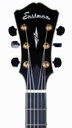 Eastman AR805CE Archtop Goldburst-4.jpg