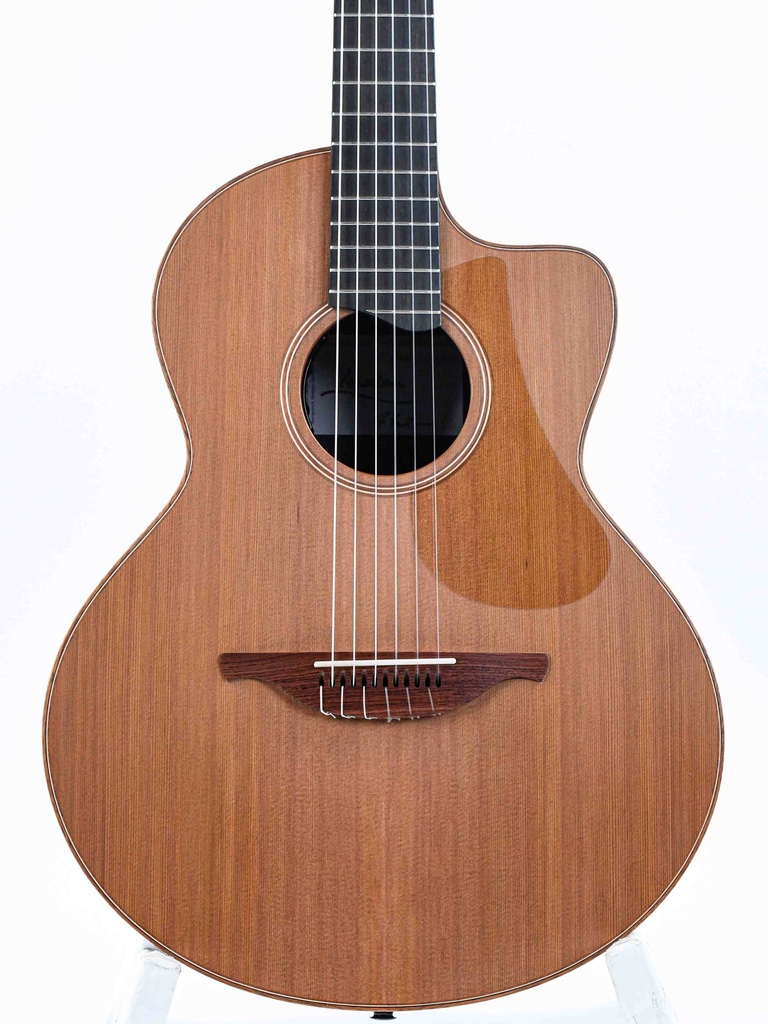 Lowden S25J Jazz Nylon Crossover #28368-4.jpg