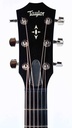 Taylor 517e Builder's Edition Wild Honey Burst 2024-4.jpg