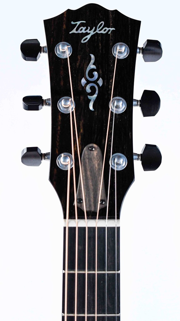 Taylor Gold Label 814e Rosewood Natural-4.jpg