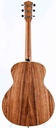 Taylor Gold Label 814e Rosewood Natural-7.jpg