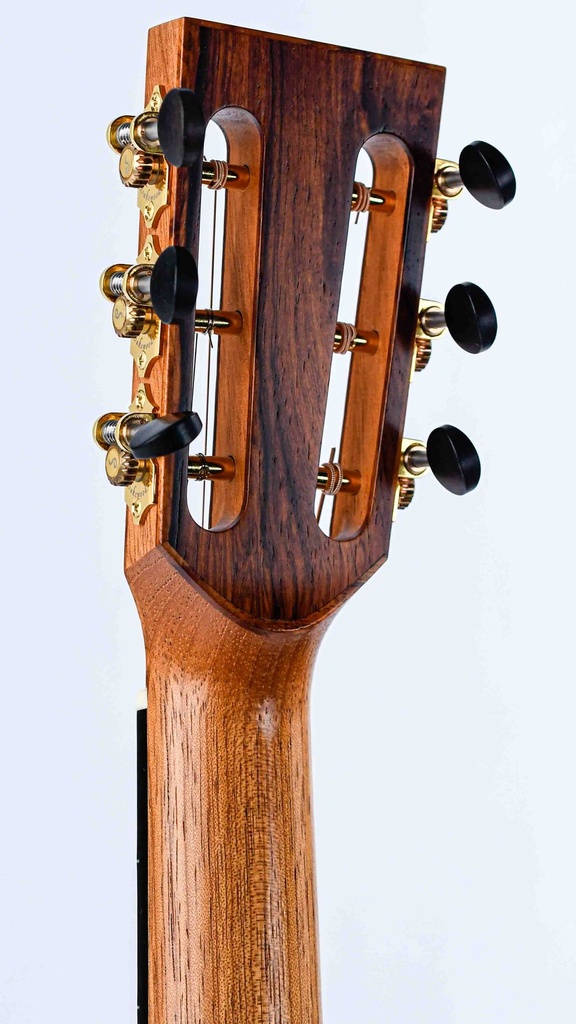 Lakewood M54 Custom 2020-5.jpg