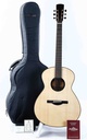 Dion Guitars no 4 Italian Spruce Figured Mahogany-1.jpg