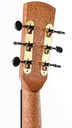 Dion Guitars no 4 Italian Spruce Figured Mahogany-6.jpg