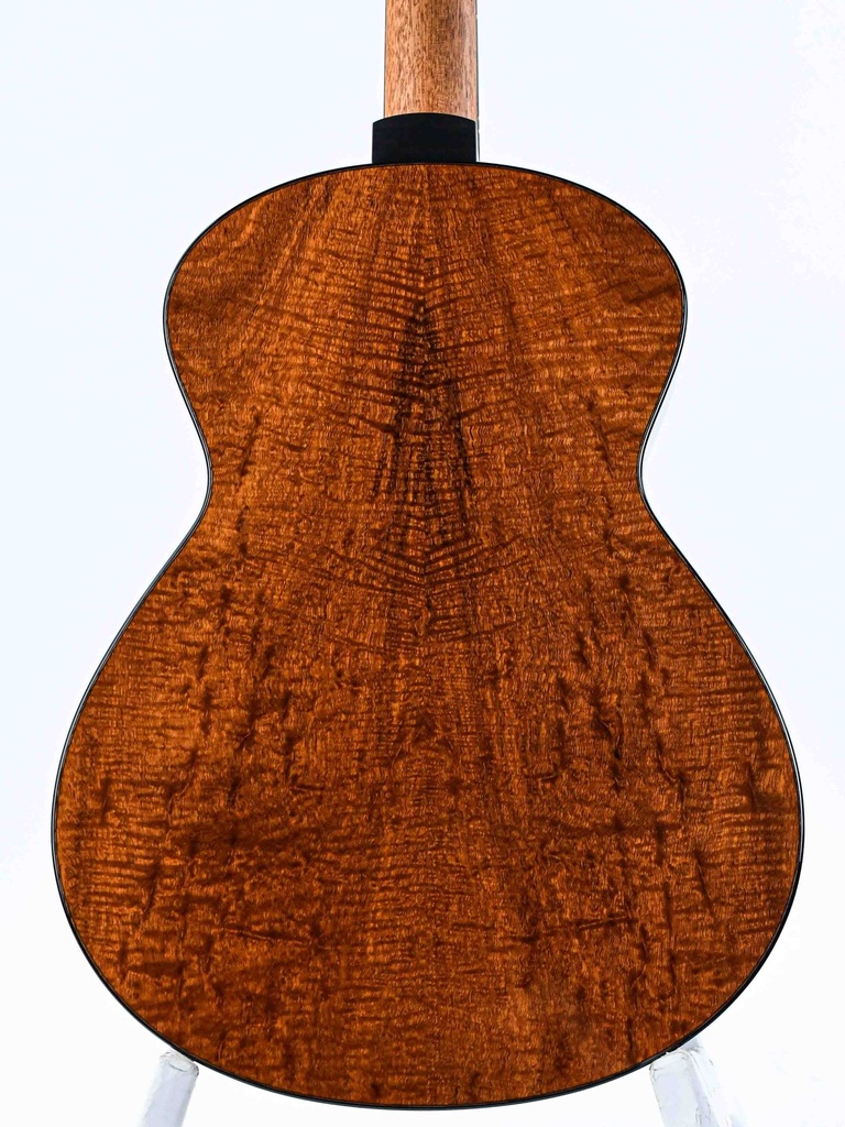 Dion Guitars no 4 Italian Spruce Figured Mahogany-7.jpg