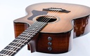 Taylor 514ce Urban Ironbark 2022-8.jpg