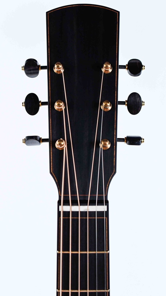 Dion Guitars no 4 Italian Spruce Cocobolo-5.jpg