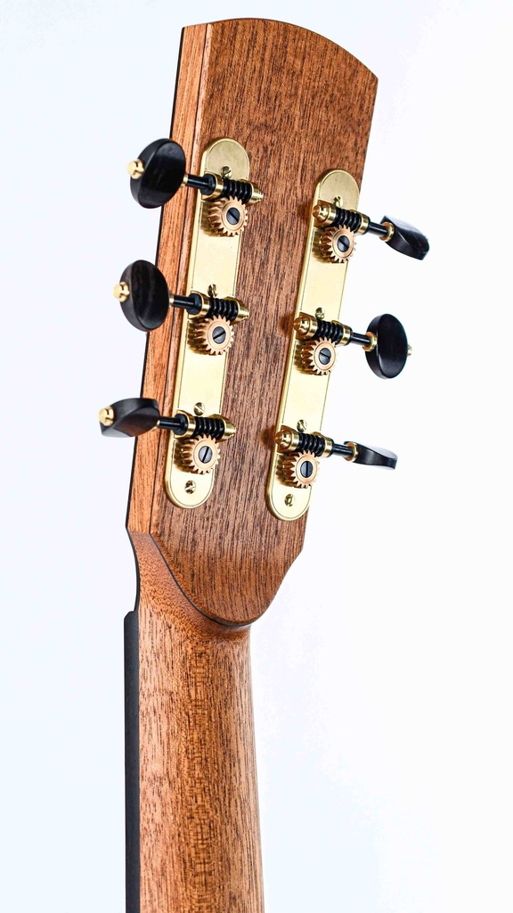 Dion Guitars no 4 Italian Spruce Cocobolo-6.jpg