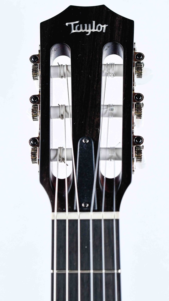 Taylor 314ce-N Nylon-4.jpg