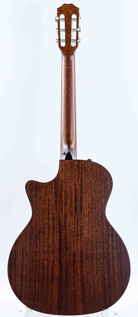 Taylor 314ce-N Nylon-5.jpg