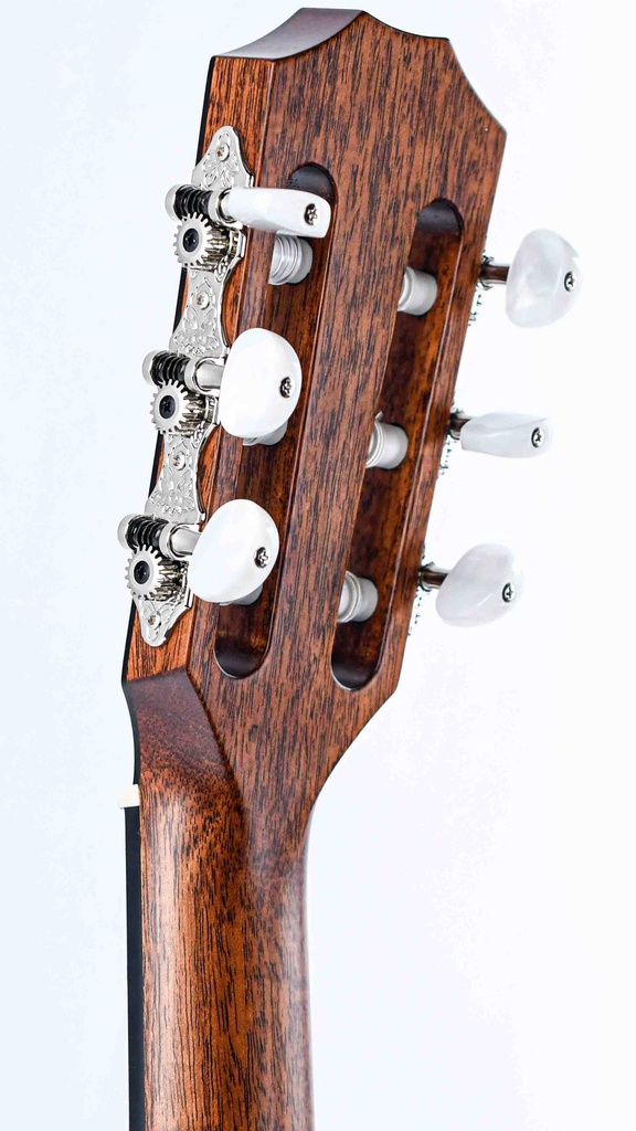 Taylor 314ce-N Nylon-7.jpg