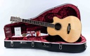 Tanglewood tw45 H SR E Inruil-1.jpg