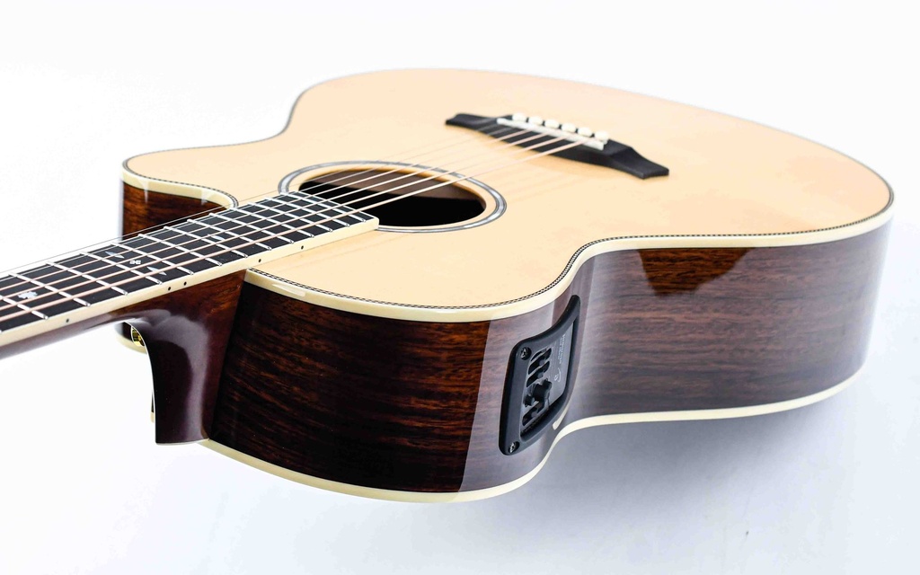 Tanglewood tw45 H SR E Inruil-8.jpg