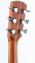 Larrivée P09 Rosewood Spruce 2006-5.jpg