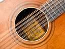 Stella 12 String 1929-11.jpg