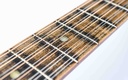 Stella 12 String 1929-16.jpg