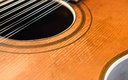 Stella 12 String 1929-15.jpg