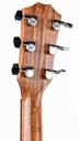 Taylor 414ce Studio Natural-5.jpg