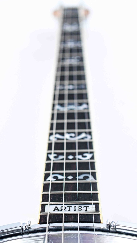 Ibanez Jazz Banjo 1977-12.jpg