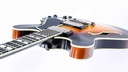 Eastman T59-v Antique Varnish Sunburst 2023-8.jpg