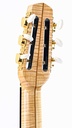 Blazer Selmer Maple Spruce 2018-5.jpg