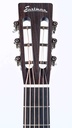 Eastman E20P Thermo Cured 12 Fret-4.jpg