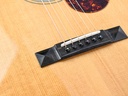 Eastman E20P Thermo Cured 12 Fret-12.jpg