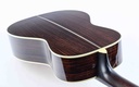 Eastman E20P Thermo Cured 12 Fret-11.jpg