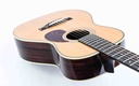 Eastman E20P Thermo Cured 12 Fret-9.jpg