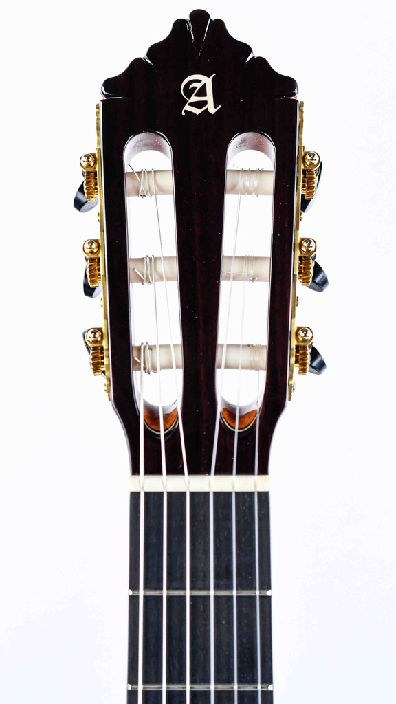 Alhambra 10 Premier Spruce Rosewood 2021-4.jpg