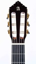 Alhambra 10 Premier Spruce Rosewood 2021-4.jpg