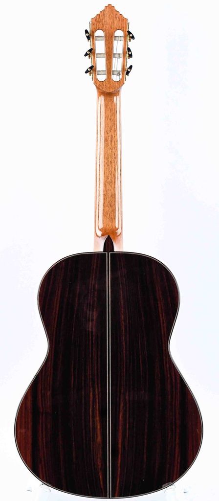 Alhambra 10 Premier Spruce Rosewood 2021-5.jpg