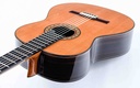 Alhambra 10 Premier Spruce Rosewood 2021-9.jpg