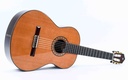 Alhambra 10 Premier Spruce Rosewood 2021-12.jpg