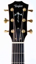 Taylor 914CE Rosewood Spruce 2012-4.jpg