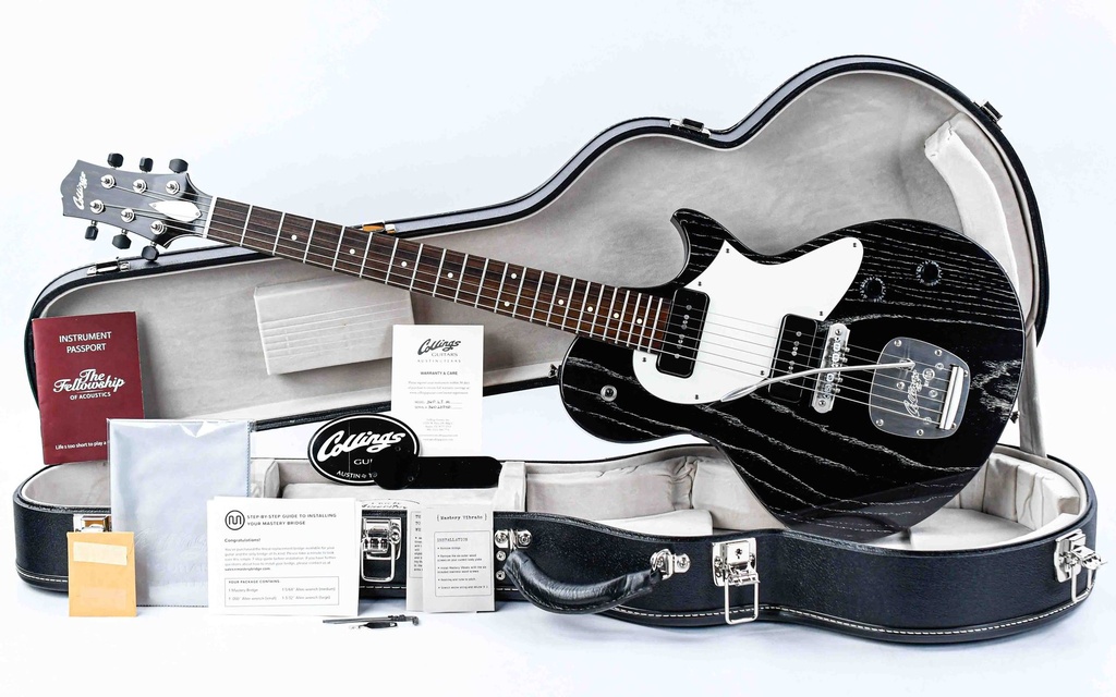 Collings 360 LT M Doghair Finish 2024-1.jpg