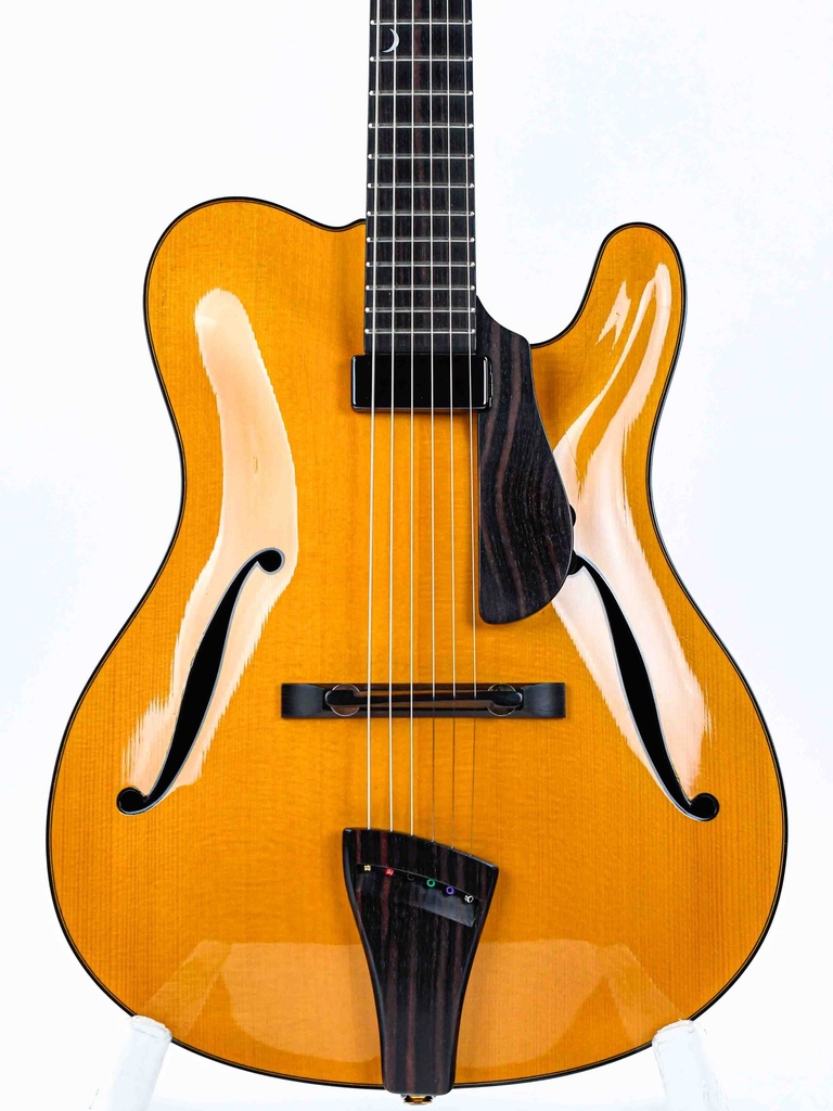 Tim Bram Tribute Archtop Model 2020-2021-3.jpg