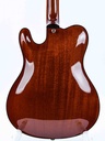 Tim Bram Tribute Archtop Model 2020-2021-6.jpg