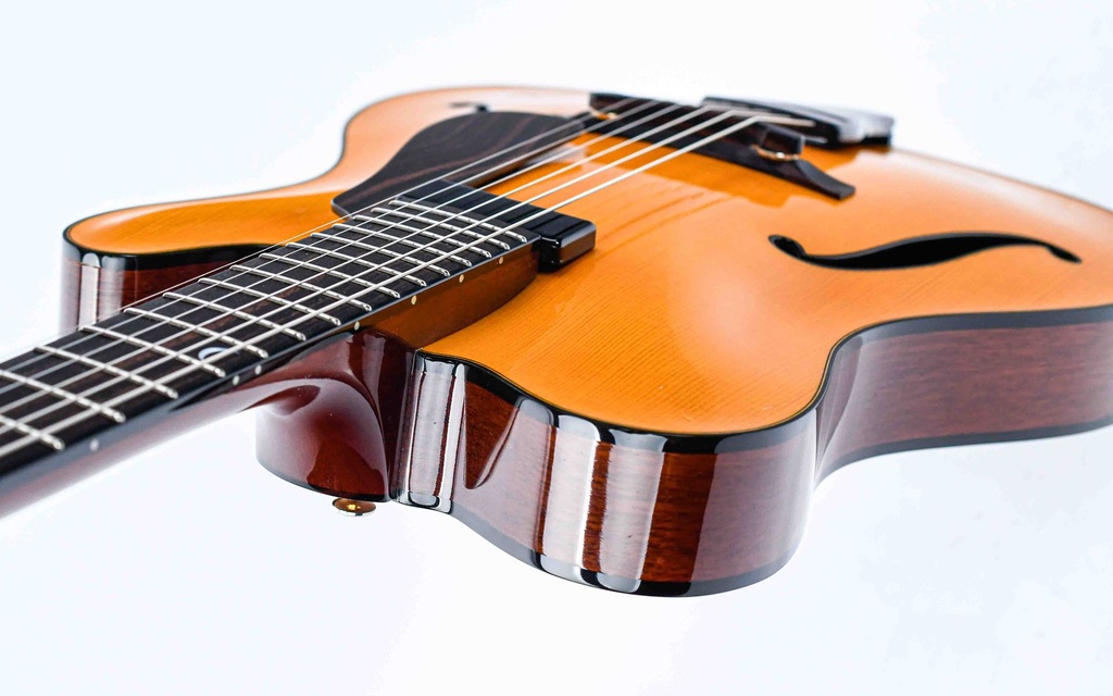 Tim Bram Tribute Archtop Model 2020-2021-8.jpg