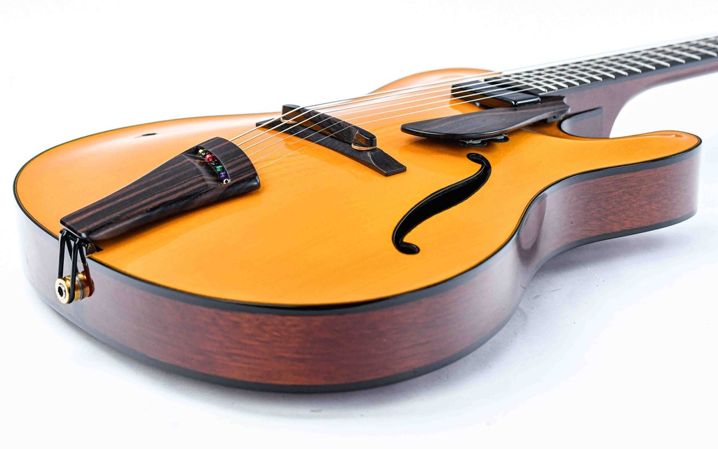 Tim Bram Tribute Archtop Model 2020-2021-11.jpg