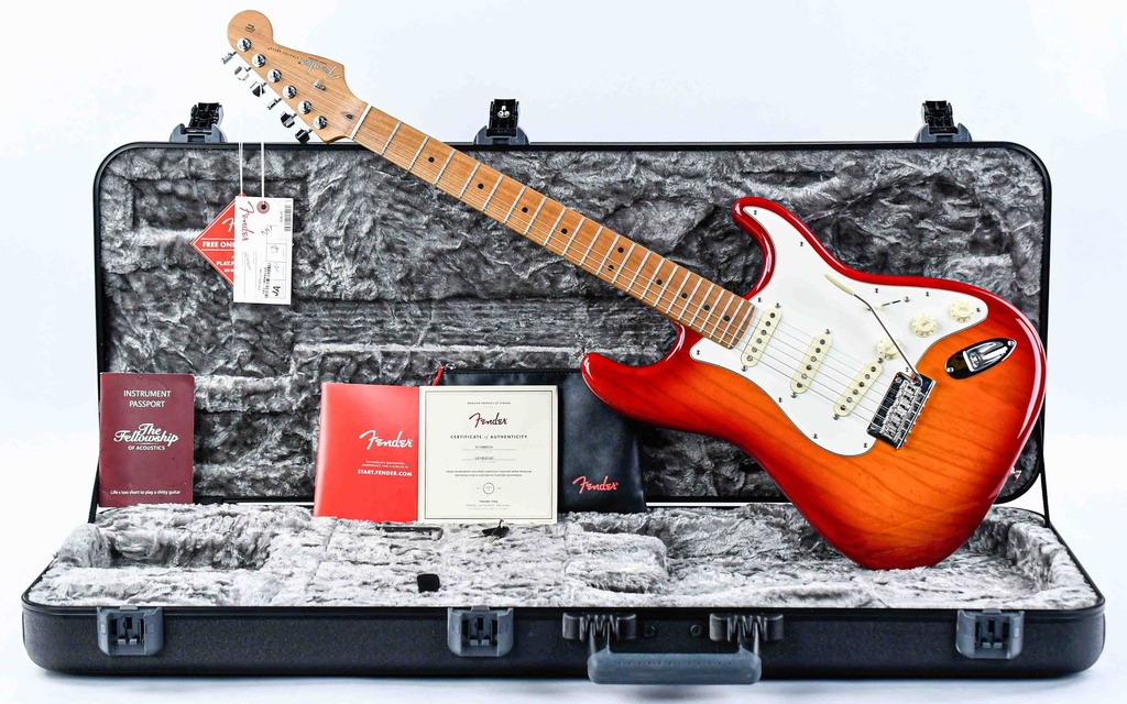 Fender American Pro Stratocaster Limited Edition Roasted Maple Neck 2019-1.jpg