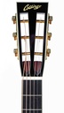 Collings Parlor Deluxe Cocobolo Adirondack Traditional-4.jpg