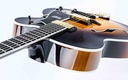 Heritage Eagle Classic Original Sunburst-8.jpg