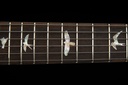 PRS Charcoal Phoenix LTD