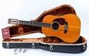 Martin D35s Spruce Indian Rosewood 1971-1.jpg